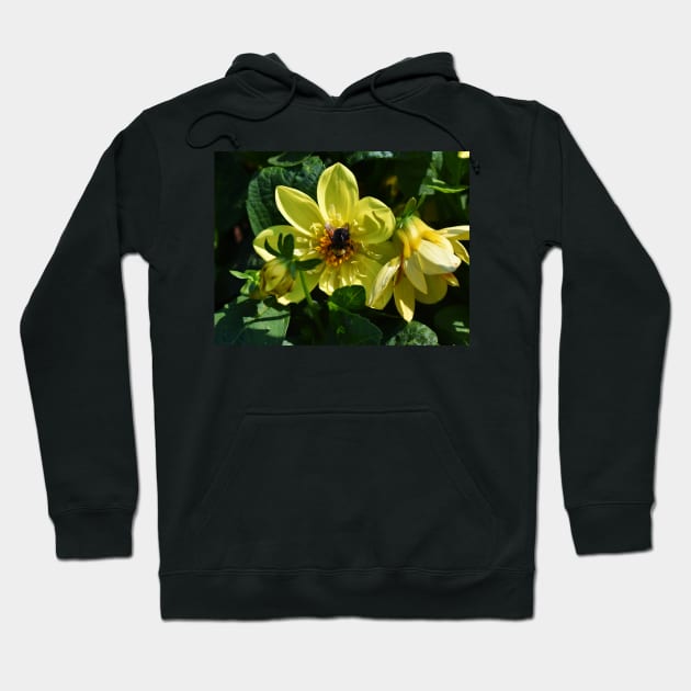 Busy Honey Bee Hoodie by Steves-Pics